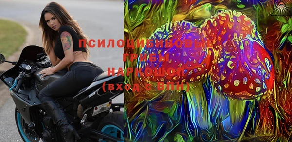 гидра Алексин