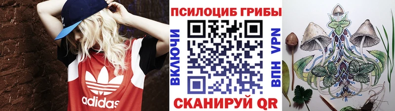 Псилоцибиновые грибы Magic Shrooms цена наркотик Вышний Волочёк