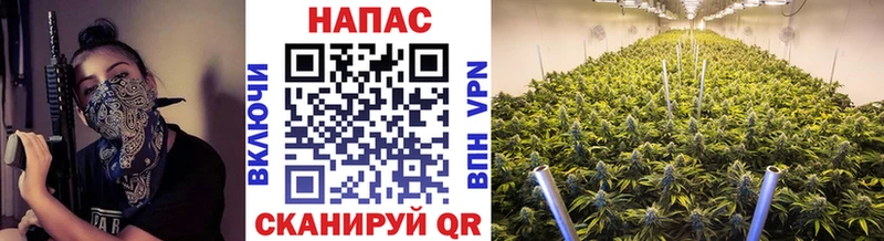 Конопля LSD WEED что такое Вышний Волочёк